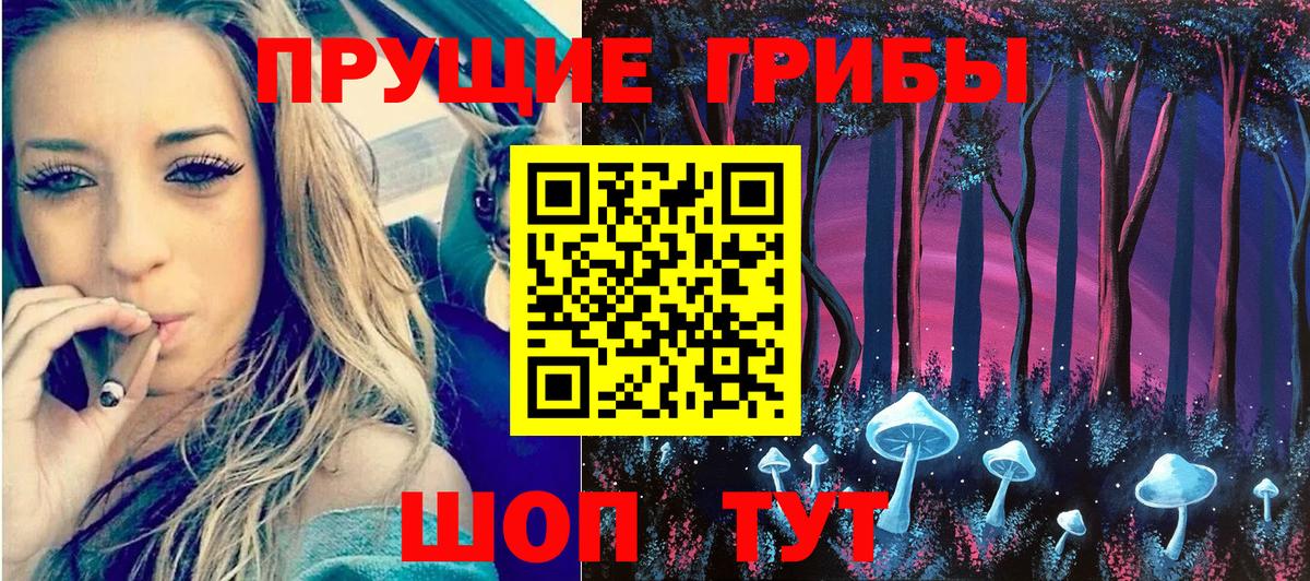 Галлюциногенные грибы мицелий Энгельс